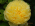 alyosh_ka74 alyosh_ka74