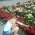 yuliya3111 yuliya3111
