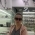 NATALI___ NATALI___
