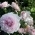 luba79_m luba79_m