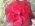 Nady_sl Nady_sl