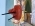 Annettal Annettal