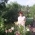 ekaterina_gladkova ekaterina_gladkova