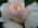 Olya_Piter Olya_Piter