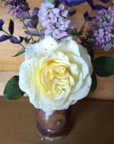 White Ashley (Вайт Эшли)