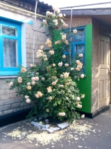 Принцесса Маргарет Принцесса Маргарет