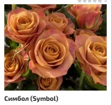 Симбол Симбол