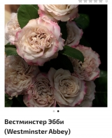 Вестминстер Эбби Вестминстер Эбби