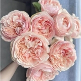 Унфоргеттабле 