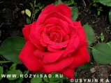 Казахстанская юбилейная