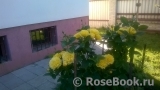 Elina_new Elina_new
