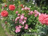 rosengarten rosengarten