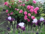 florist florist