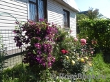 marianna60