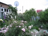 alla_73