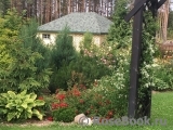 Ilenok