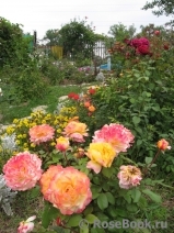 annavolgograd annavolgograd